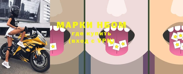 прущие грибы Балабаново