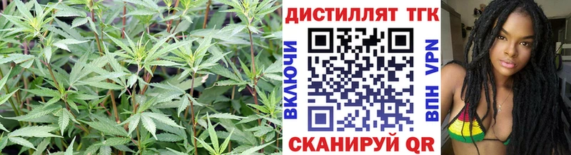 ТГК жижа  купить наркоту  Кировск 